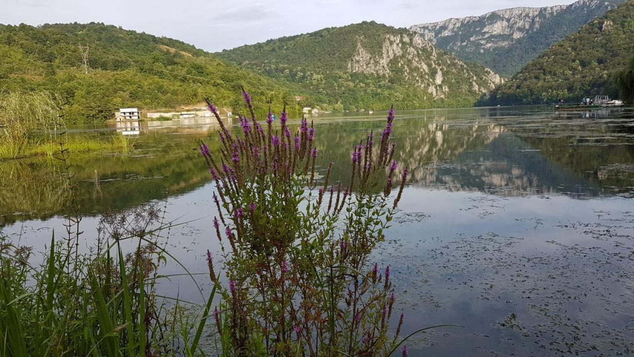 Apartament Casa Colt De Rai Ogradina Zewnętrze zdjęcie